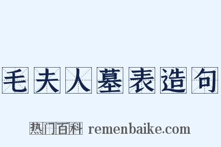 毛夫人墓表造句是什么意思的图片